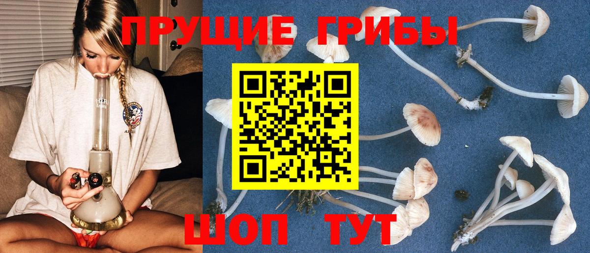 Псилоцибиновые грибы мицелий Губаха